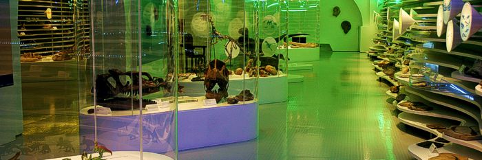 Musée d'Histoire Natuelle de Sintra