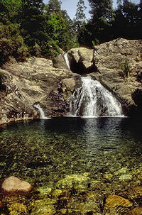 Hotel Meira Natureza envolvente