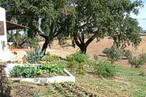 Monte Alentejano, Guest House, Gardens