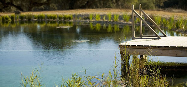 Lake in Monte do Carmo . Alentejo