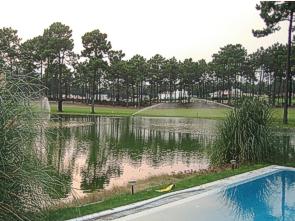 Pool and Golf Course