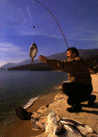 Pescador