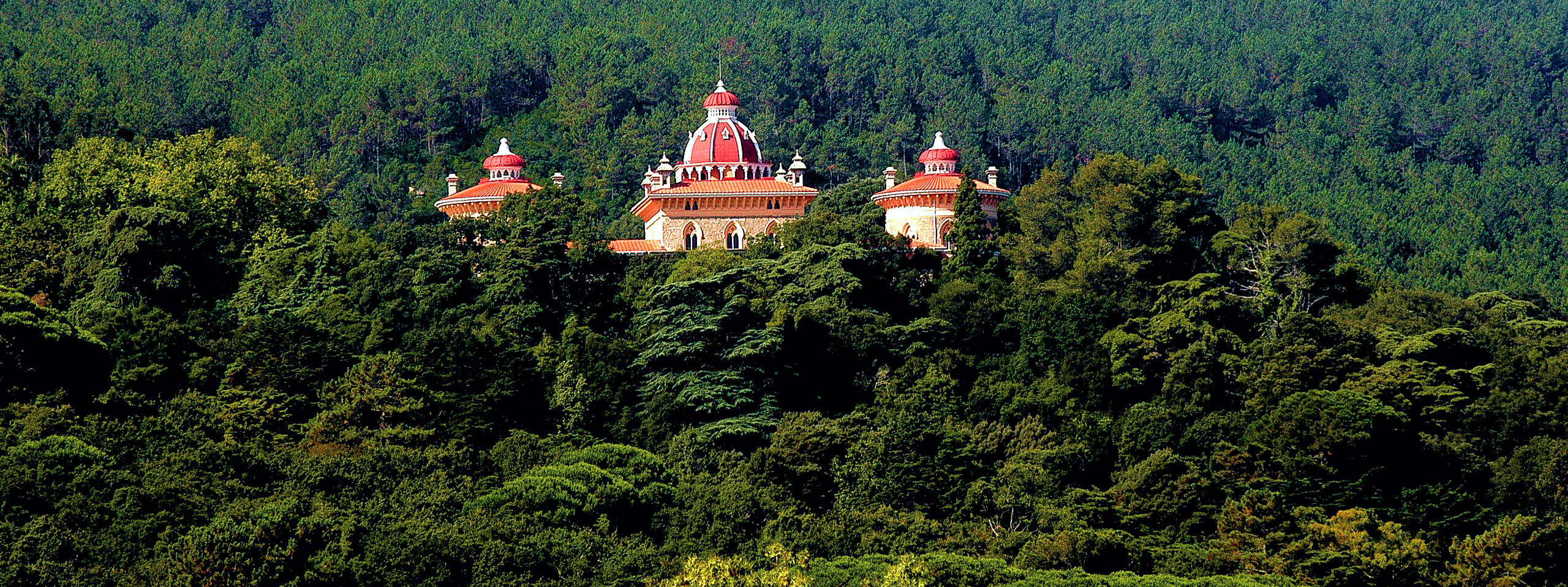 Monserrate Palace immerged in the forest